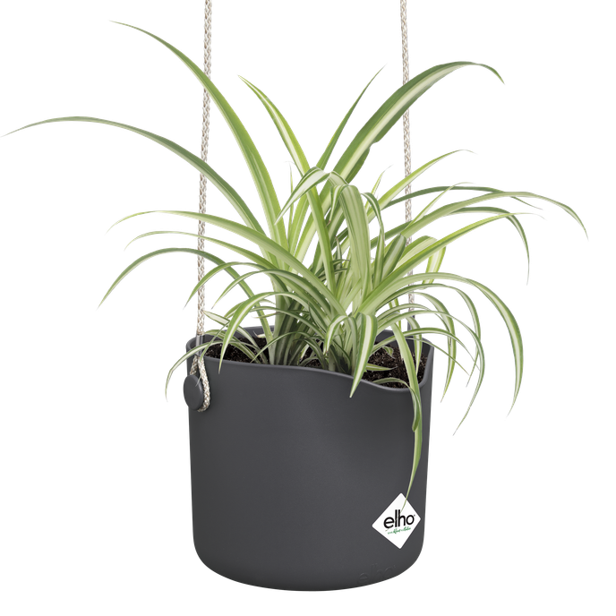 b.for swing 18cm anthrazit